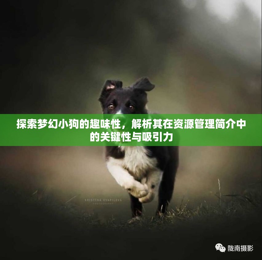 探索梦幻小狗的趣味性，解析其在资源管理简介中的关键性与吸引力