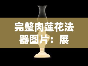 完整肉莲花法器图片：展现古老文化的神秘魅力