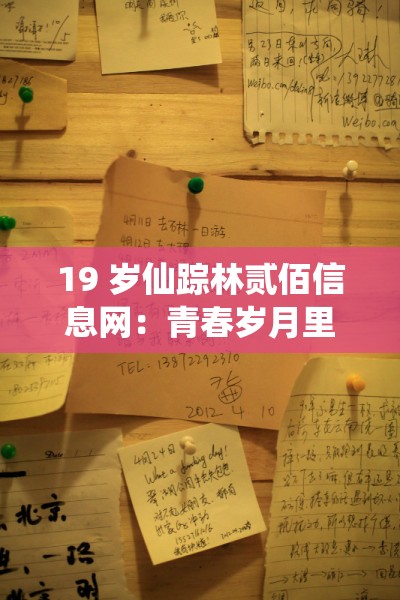 19 岁仙踪林贰佰信息网：青春岁月里的独特探索之地