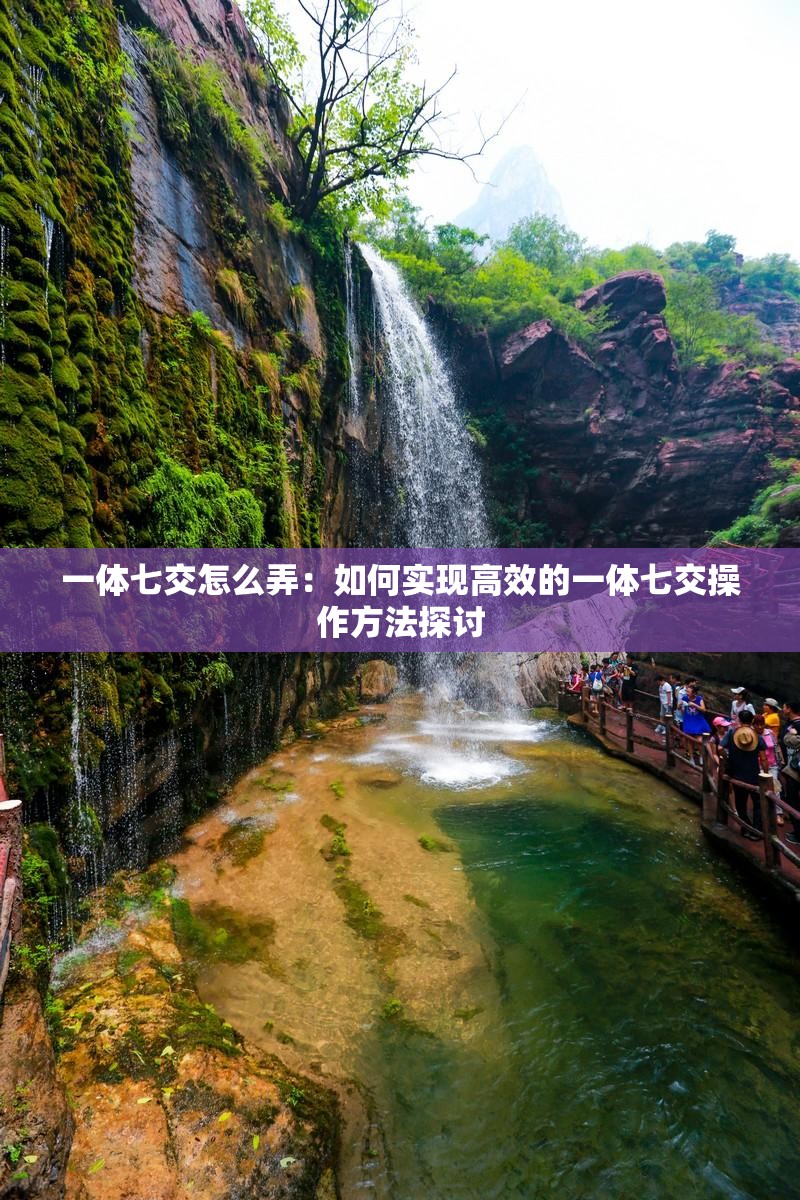 一体七交怎么弄：如何实现高效的一体七交操作方法探讨