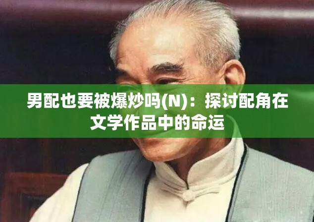 男配也要被爆炒吗(N)：探讨配角在文学作品中的命运
