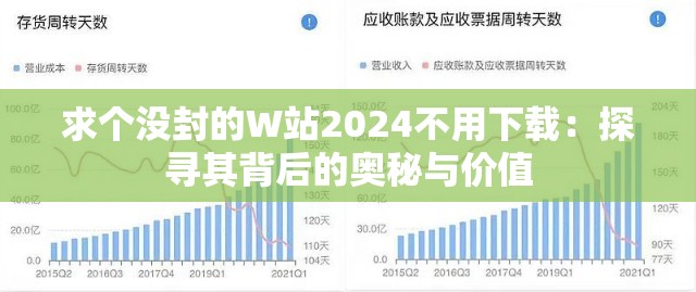 求个没封的W站2024不用下载：探寻其背后的奥秘与价值