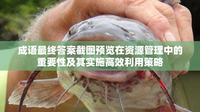 成语最终答案截图预览在资源管理中的重要性及其实施高效利用策略