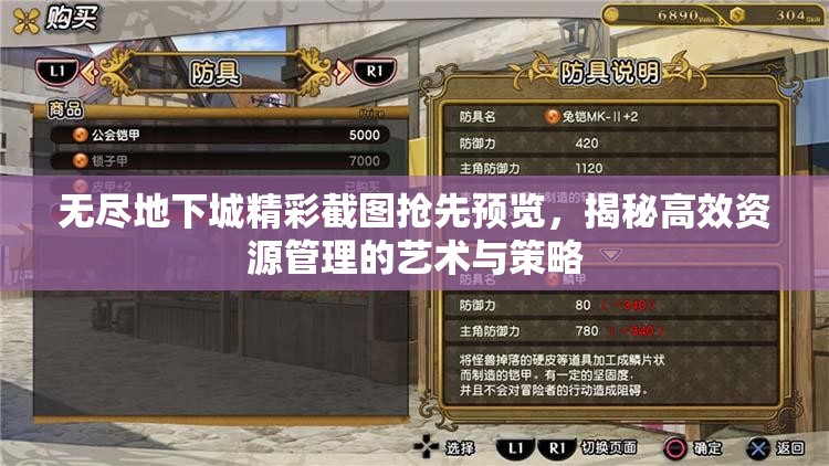 无尽地下城精彩截图抢先预览，揭秘高效资源管理的艺术与策略