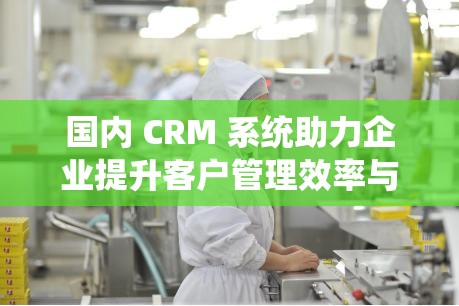 国内 CRM 系统助力企业提升客户管理效率与质量