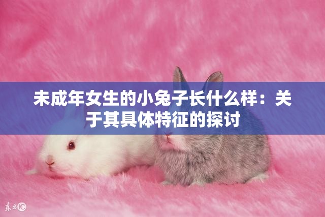 未成年女生的小兔子长什么样：关于其具体特征的探讨