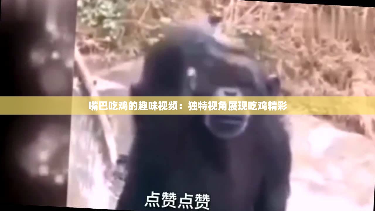 嘴巴吃鸡的趣味视频：独特视角展现吃鸡精彩