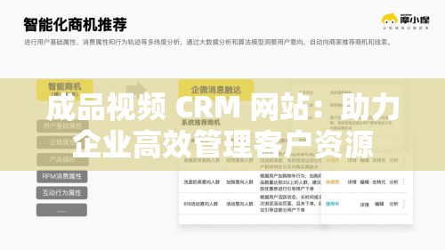 成品视频 CRM 网站：助力企业高效管理客户资源