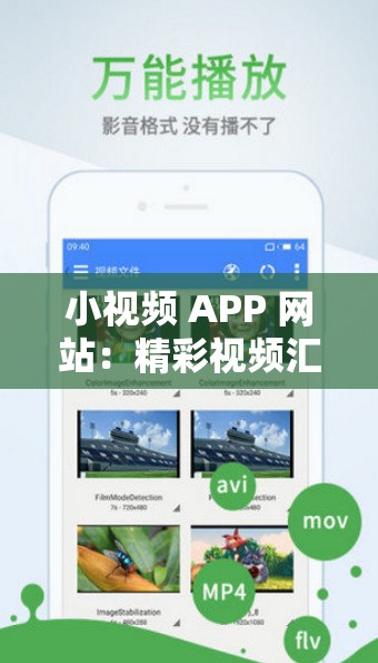小视频 APP 网站：精彩视频汇聚之地等你来发现
