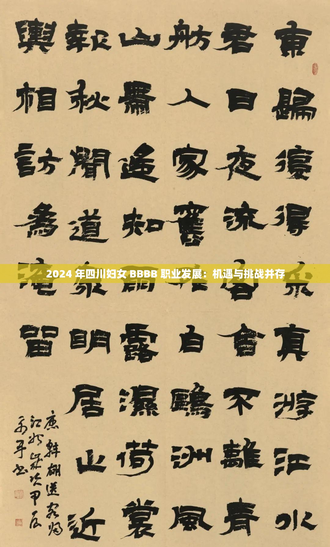 2024 年四川妇女 BBBB 职业发展：机遇与挑战并存