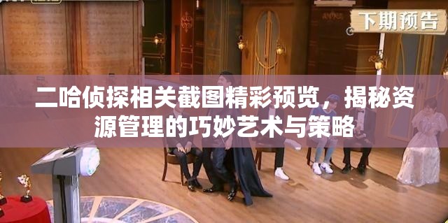 二哈侦探相关截图精彩预览，揭秘资源管理的巧妙艺术与策略