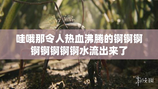 哇哦那令人热血沸腾的锕锕锕锕锕锕锕锕水流出来了