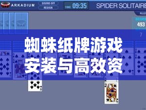蜘蛛纸牌游戏安装与高效资源配置，全面解析与管理智慧指南