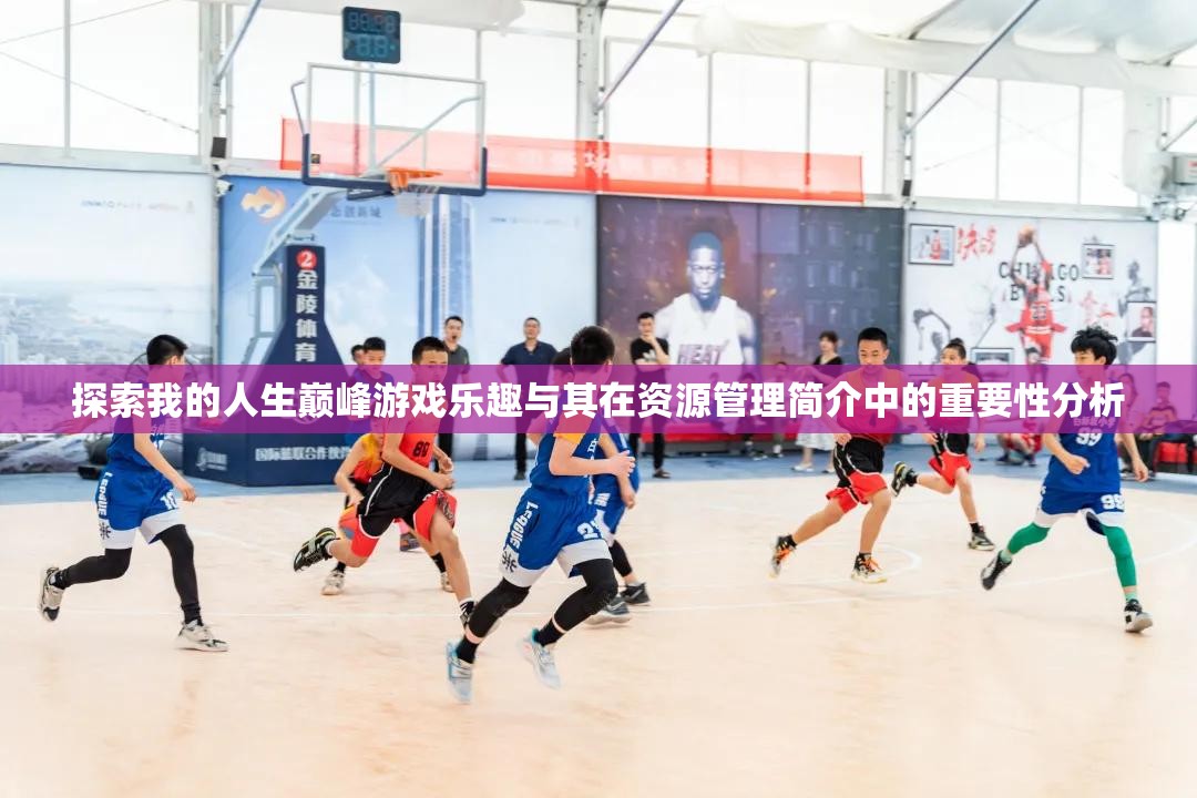 探索我的人生巅峰游戏乐趣与其在资源管理简介中的重要性分析