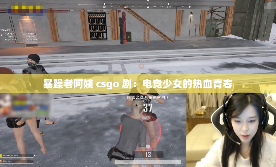 暴躁老阿姨 csgo 剧：电竞少女的热血青春