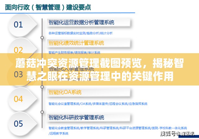蘑菇冲突资源管理截图预览，揭秘智慧之眼在资源管理中的关键作用