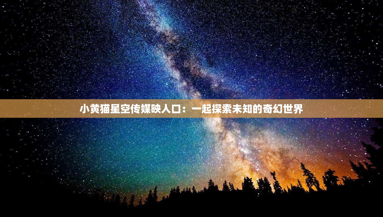 小黄猫星空传媒映人口：一起探索未知的奇幻世界