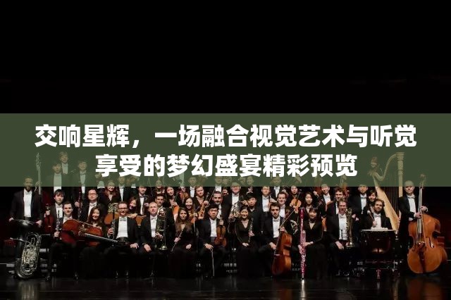 交响星辉，一场融合视觉艺术与听觉享受的梦幻盛宴精彩预览