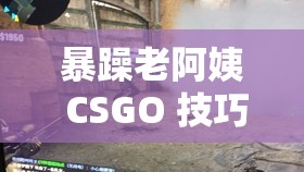 暴躁老阿姨 CSGO 技巧揭秘- 全面详细的技巧讲解与实战分析
