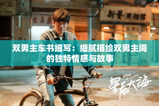 双男主车书细写：细腻描绘双男主间的独特情感与故事