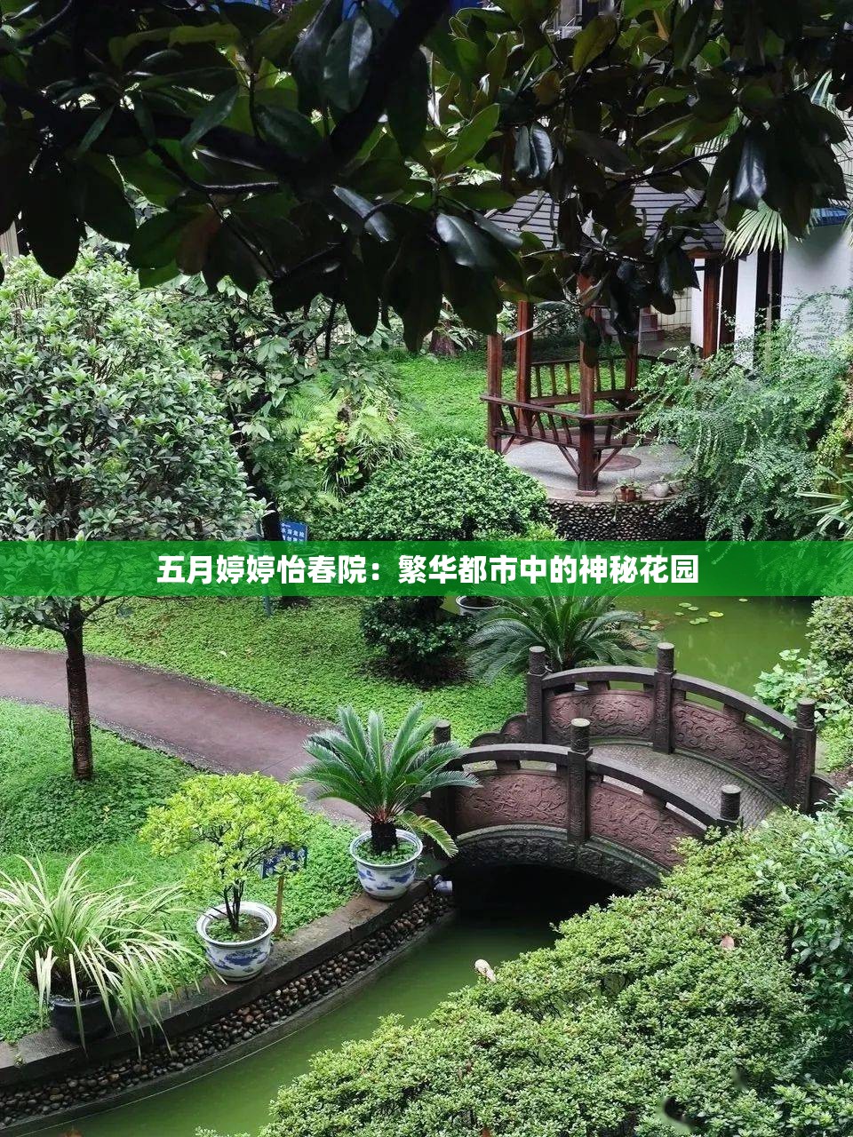 五月婷婷怡春院：繁华都市中的神秘花园