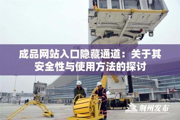 成品网站入口隐藏通道：关于其安全性与使用方法的探讨