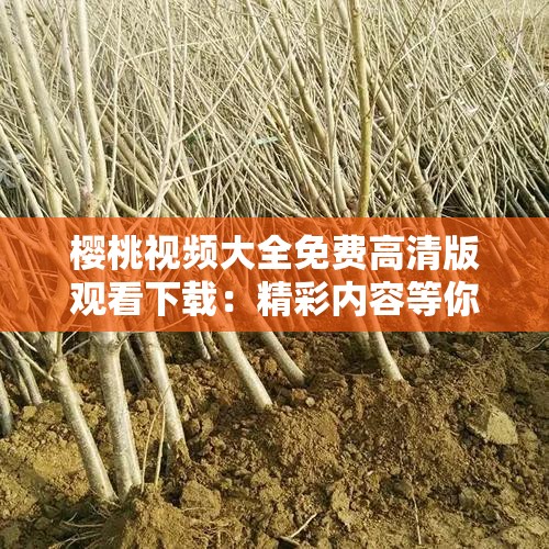 樱桃视频大全免费高清版观看下载：精彩内容等你发现