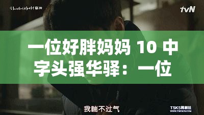 一位好胖妈妈 10 中字头强华驿：一位胖妈妈的故事