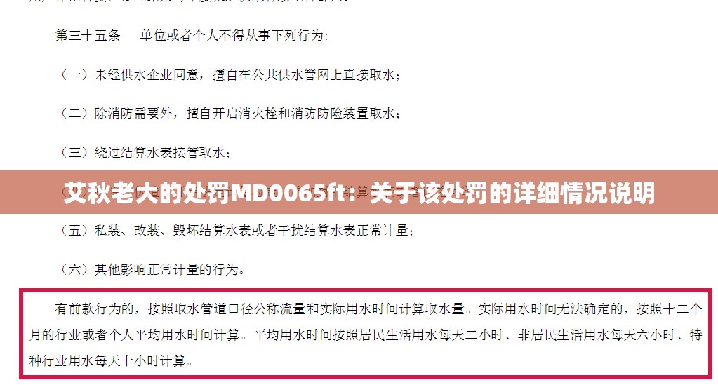 艾秋老大的处罚MD0065ft：关于该处罚的详细情况说明
