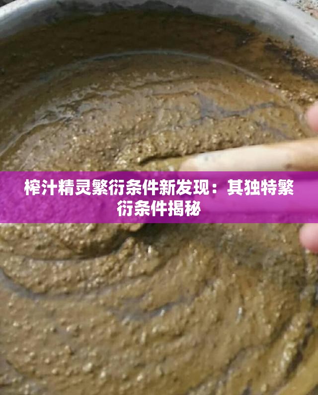 榨汁精灵繁衍条件新发现：其独特繁衍条件揭秘
