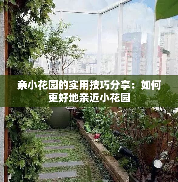 亲小花园的实用技巧分享：如何更好地亲近小花园