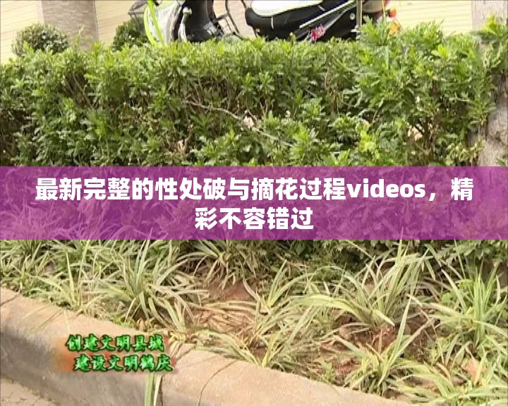 最新完整的性处破与摘花过程videos，精彩不容错过