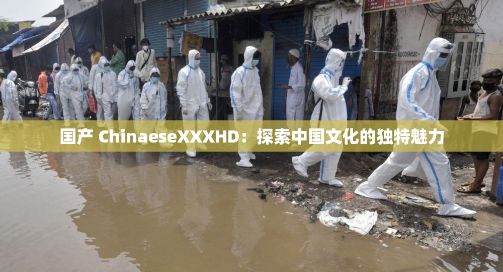 国产 ChinaeseXXXHD：探索中国文化的独特魅力