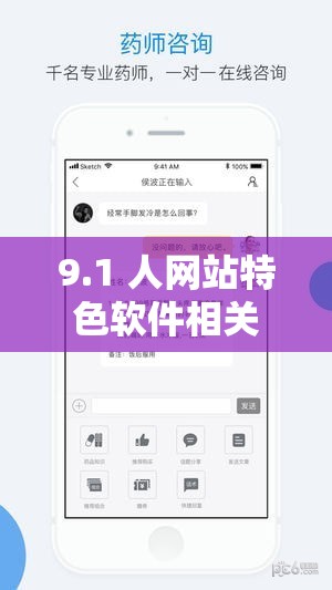9.1 人网站特色软件相关内容及探讨