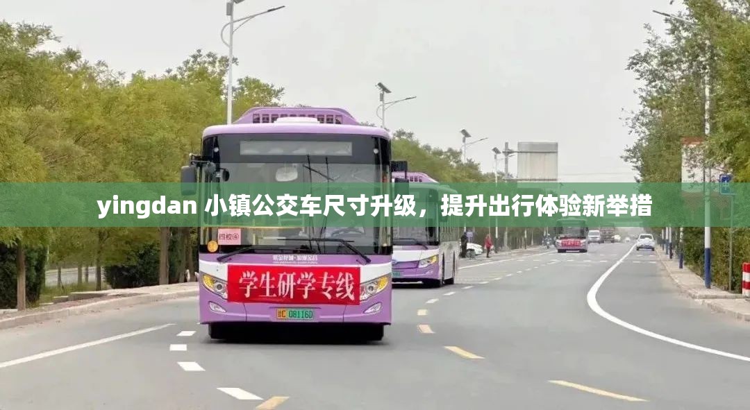 yingdan 小镇公交车尺寸升级，提升出行体验新举措