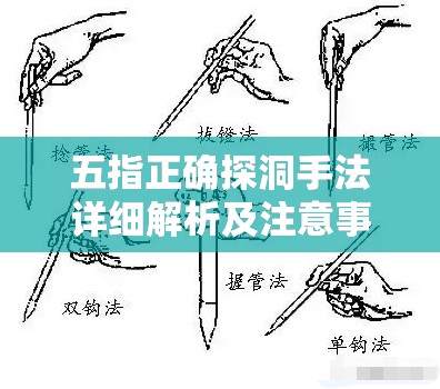 五指正确探洞手法详细解析及注意事项