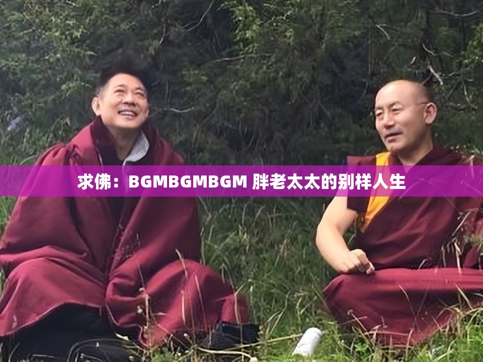 求佛：BGMBGMBGM 胖老太太的别样人生