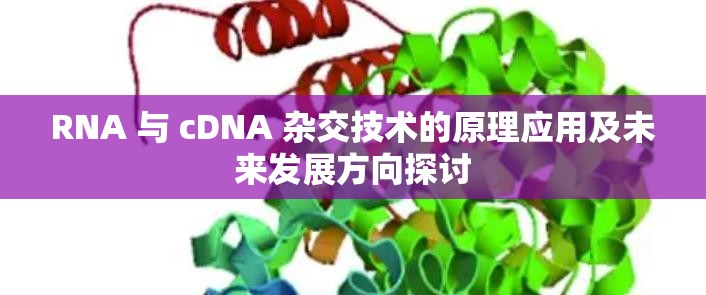 RNA 与 cDNA 杂交技术的原理应用及未来发展方向探讨