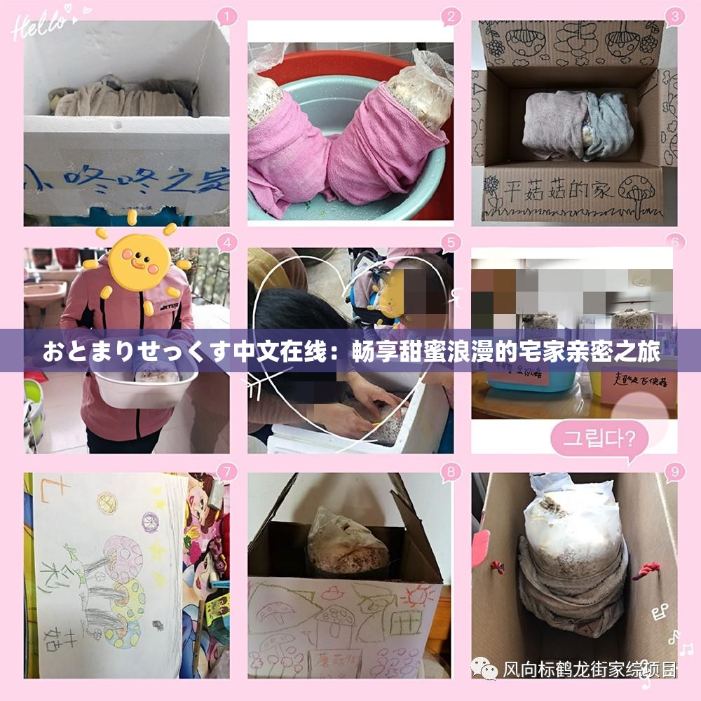 おとまりせっくす中文在线：畅享甜蜜浪漫的宅家亲密之旅