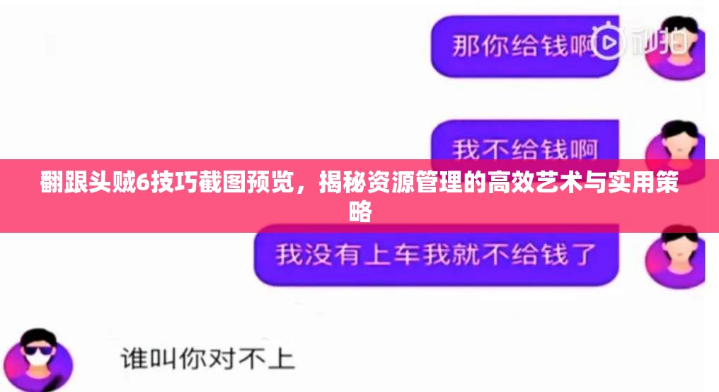 翻跟头贼6技巧截图预览，揭秘资源管理的高效艺术与实用策略