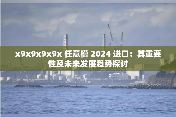 x9x9x9x9x 任意槽 2024 进口：其重要性及未来发展趋势探讨