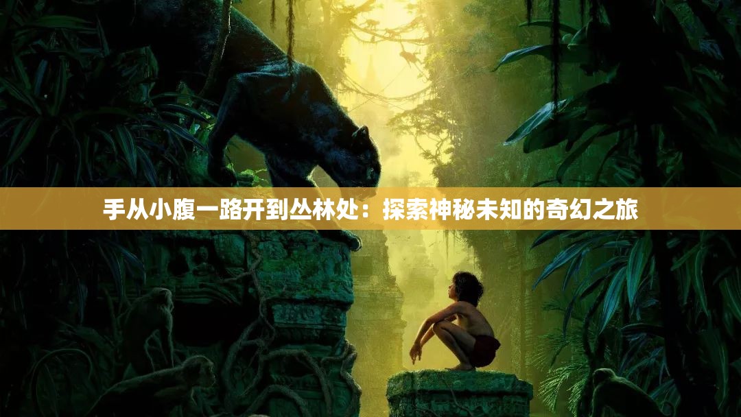 手从小腹一路开到丛林处：探索神秘未知的奇幻之旅