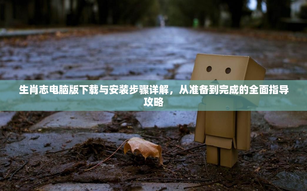 生肖志电脑版下载与安装步骤详解，从准备到完成的全面指导攻略