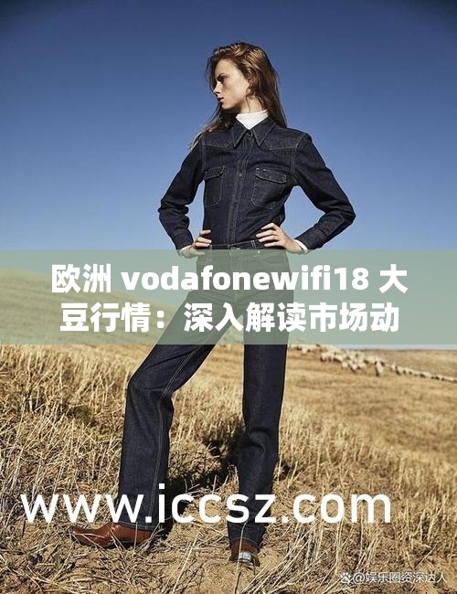 欧洲 vodafonewifi18 大豆行情：深入解读市场动态与发展趋势