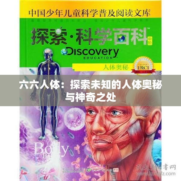 六六人体：探索未知的人体奥秘与神奇之处
