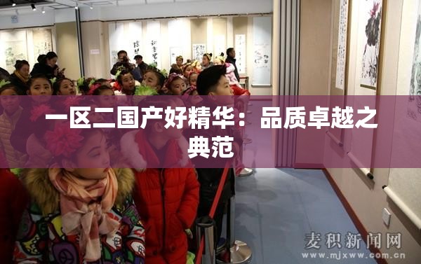 一区二国产好精华：品质卓越之典范