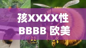 孩XXXX性 BBBB 欧美蚪窝：探索独特的欧美文化魅力