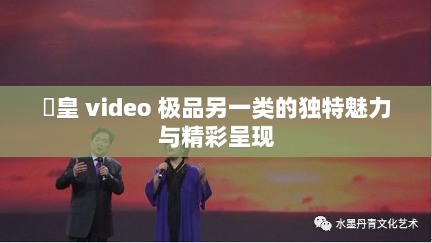 嘼皇 video 极品另一类的独特魅力与精彩呈现