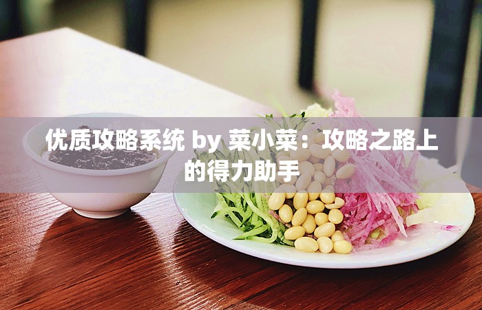 优质攻略系统 by 菜小菜：攻略之路上的得力助手