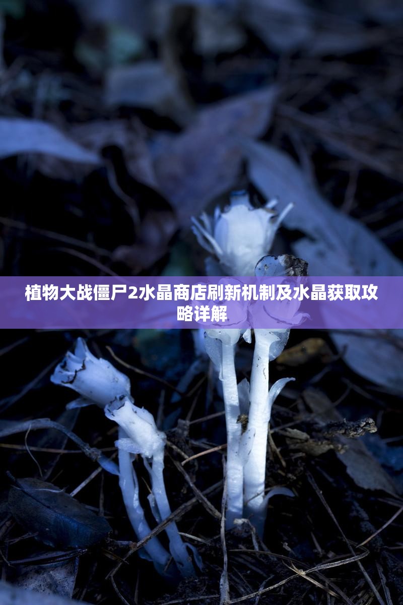 植物大战僵尸2水晶商店刷新机制及水晶获取攻略详解
